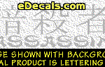 KAN121 Japanese Chinese Asian Kanji Assassin w/Wording Decal