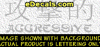  KAN123 Japanese Chinese Asian Kanji Aggressive w/Wording Decal