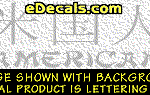 KAN125 Japanese Chinese Asian Kanji American w/Wording Decal