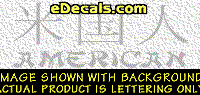 KAN125 Japanese Chinese Asian Kanji American w/Wording Decal