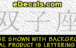 KAN136 Japanese Chinese Asian Kanji Gemini Decal