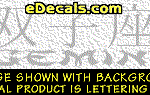 KAN137 Japanese Chinese Asian Kanji Gemini w/Wording Decal