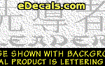KAN139 Japanese Chinese Asian Kanji Leader w/Wording Decal