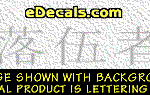 KAN148 Japanese Chinese Asian Kanji Outcast Decal
