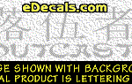 KAN149 Japanese Chinese Asian Kanji Outcast w/Wording Decal