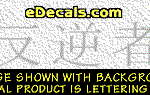 KAN152 Japanese Chinese Asian Kanji Rebel Decal
