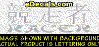 KAN155 Japanese Chinese Asian Kanji Racer w/Wording Decal