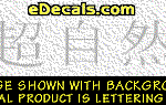 KAN160 Japanese Chinese Asian Kanji Supernatural Decal
