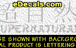 KAN161 Japanese Chinese Asian Kanji Supernatural w/Wording Decal