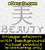  KAN165 Japanese Chinese Asian Kanji Beauty w/Wording Decal