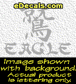  KAN173 Japanese Chinese Asian Kanji Eagle w/Wording Decal