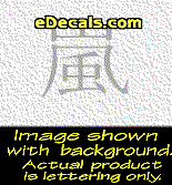  KAN194 Japanese Chinese Asian Kanji Storm Decal