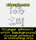 KAN202 Japanese Chinese Asian Kanji Unity Decal