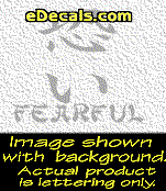  KAN209 Japanese Chinese Asian Kanji Fearful w/Wording Decal
