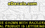KAN223 Japanese Chinese Asian Kanji Reality w/Wording Decal