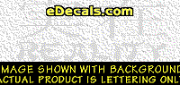  KAN223 Japanese Chinese Asian Kanji Reality w/Wording Decal