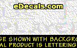 KAN229 Japanese Chinese Asian Kanji Player w/Wording Decal