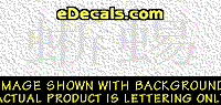  KAN240 Japanese Chinese Asian Kanji Lizard Decal