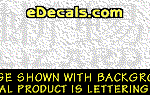 KAN241 Japanese Chinese Asian Kanji Lizard w/Wording Decal