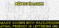  KAN241 Japanese Chinese Asian Kanji Lizard w/Wording Decal