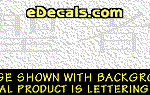 KAN246 Japanese Chinese Asian Kanji Saint Decal