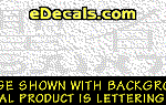 KAN247 Japanese Chinese Asian Kanji Saint w/Wording Decal
