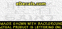  KAN247 Japanese Chinese Asian Kanji Saint w/Wording Decal