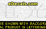 KAN256 Japanese Chinese Asian Kanji Lightning Decal