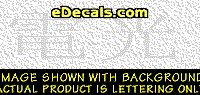  KAN256 Japanese Chinese Asian Kanji Lightning Decal
