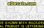 KAN257 Japanese Chinese Asian Kanji Lightning w/Wording Decal