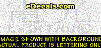  KAN257 Japanese Chinese Asian Kanji Lightning w/Wording Decal