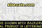 KAN273 Japanese Chinese Asian Kanji Lion w/Wording Decal