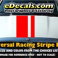 RSS903 Universal Dual Offset Racing Stripe Kit