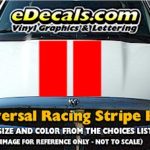 RSS905 Universal Dual Racing Stripe Kit