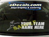 SPT205 Softball Your Team Name Here Sports Cartoon Decal