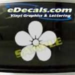 SYM101 Asian Symbol Decal