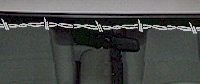  WSD206 Tire Tracks Accent Windshield Decal