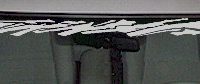  WSD208 Furious Accent Windshield Decal