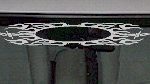 WSD209 Barb Wire Accent Windshield Decal