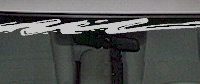  WSD210 Waterslide Accent Windshield Decal