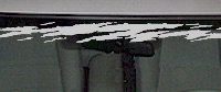  WSD220 Accent Windshield Decal