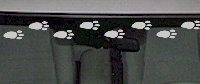  WSD225 Footprint Accent Windshield Decal