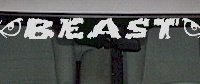  WSD301 Beast With Eyes Windshield Decal