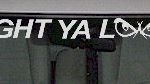 WSD305 Caught Ya Lookin With Eyes Windshield Decal