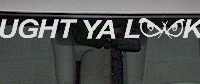  WSD305 Caught Ya Lookin With Eyes Windshield Decal