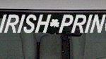 WSD311 Irish Princess With Flag Windshield Decal