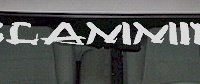  WSD317 Slammin' Windshield Decal