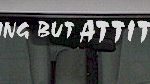 WSD318 Nothin' But Attitude Windshield Decal