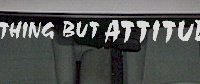  WSD318 Nothin' But Attitude Windshield Decal