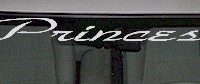  WSD320 Princess Windshield Decal